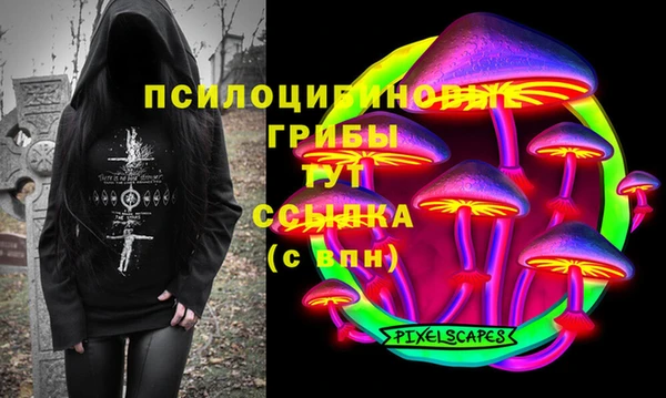 тгк Дмитров