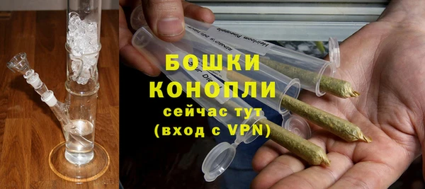 мдпв Володарск