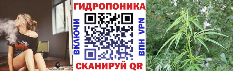 Шишки марихуана планчик  магазин продажи наркотиков  Жуковка 